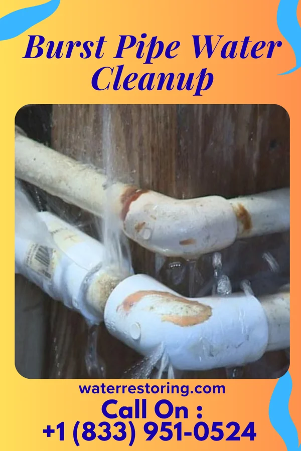 Burst Pipe Water Cleanup in Laurel Hill, VA
