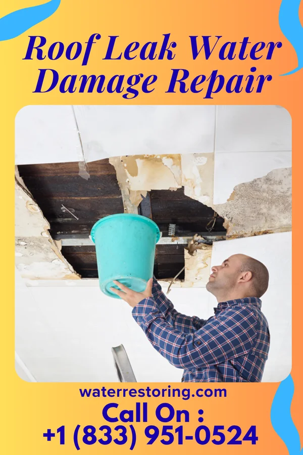 Roof Leak Water Damage Repair in Laurel Hill, VA