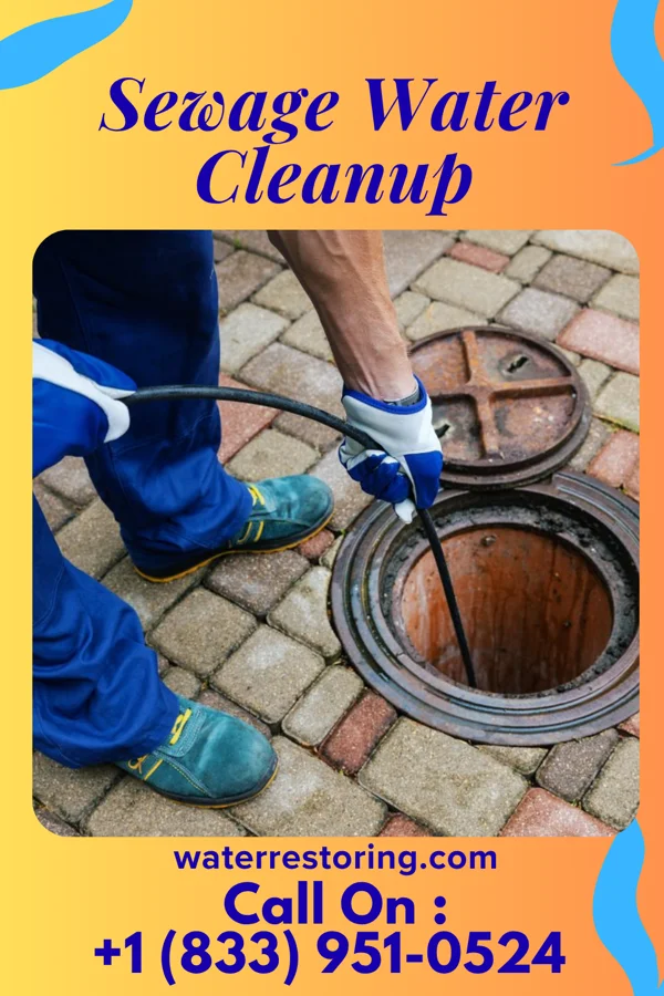 Sewage Water Cleanup in Laurel Hill, VA