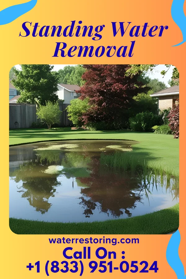 Standing Water Removal in Laurel Hill, VA